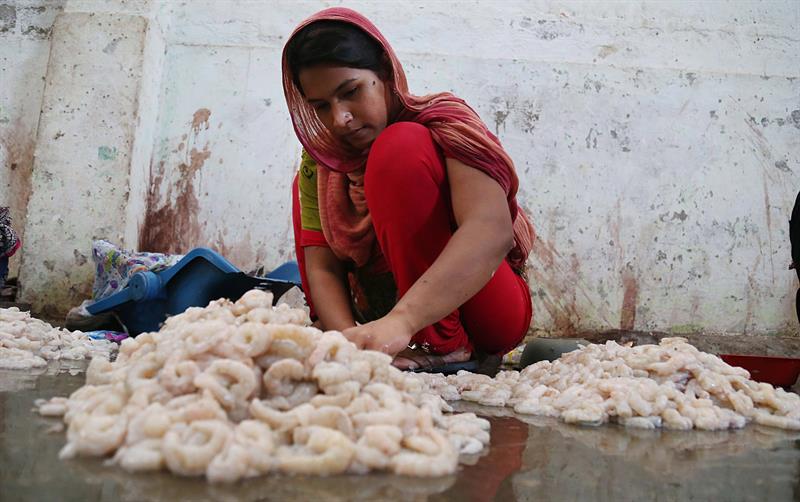 Una chica palestina limpia gambas en una fábrica en Karachi, Pakistán. Foto: Shahzaib Akber, EFE