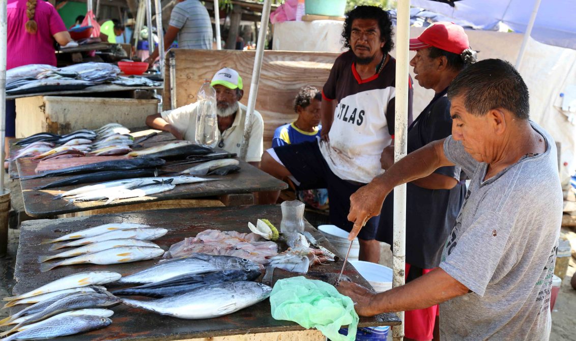 Mariscos y pescados deben consumirse frescos para evitar intoxicaciones,  advierte nutrióloga - El Sur Acapulco suracapulco I Noticias Acapulco  Guerrero