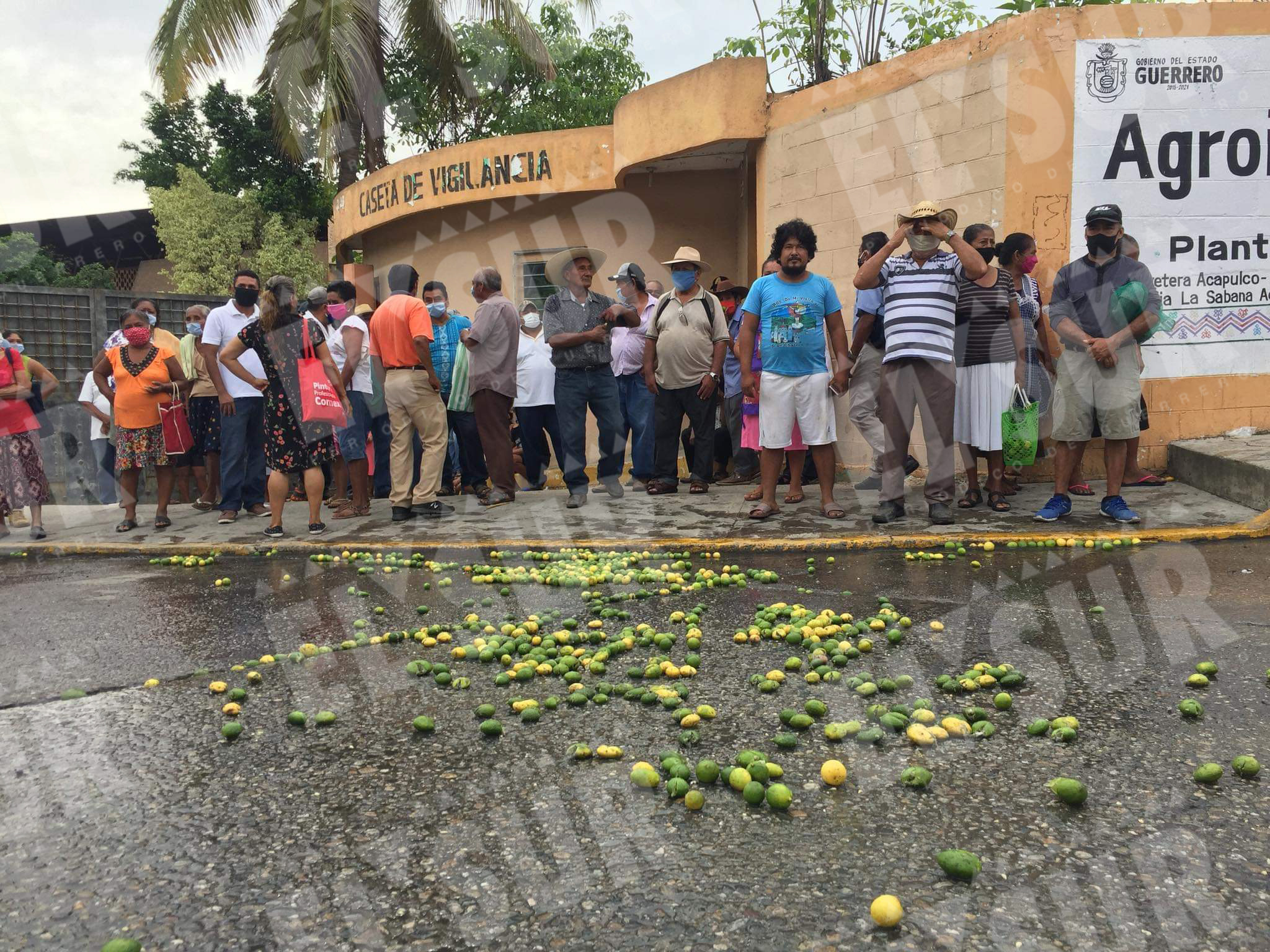 Bloquean en Acapulco productores de limón; piden reabrir Agroindustrias del  Sur - El Sur Acapulco suracapulco I Noticias Acapulco Guerrero