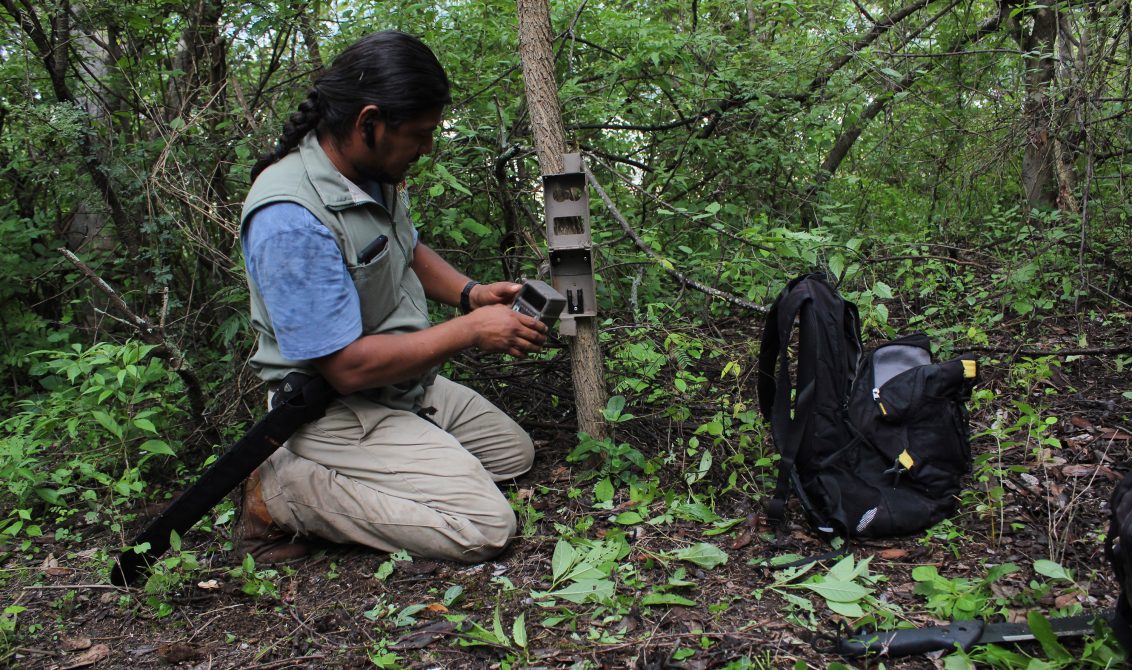 Chilpancingo gro, 17 de agosto 2020. // Integrantes del proyecto Guerrero Jaguar instalan cámaras trampa en un predio ubicado luego de que vecinos del Fraccionamiento Villas Paraíso reportaran el avistamiento de un supuesto puma. // Foto: Jesús Eduardo Guerrero