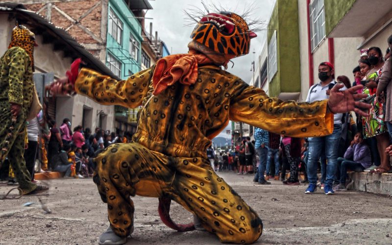 “Hombres-tigre” inundaron este lunes las calles de Chilapa, municipio ubicado en la región Centro del estado Guerrero, como parte de una tradición de más de tres décadas que se suspendió dos años debido a la pandemia de coronavirus  Fotos: José Luis de la Cruz