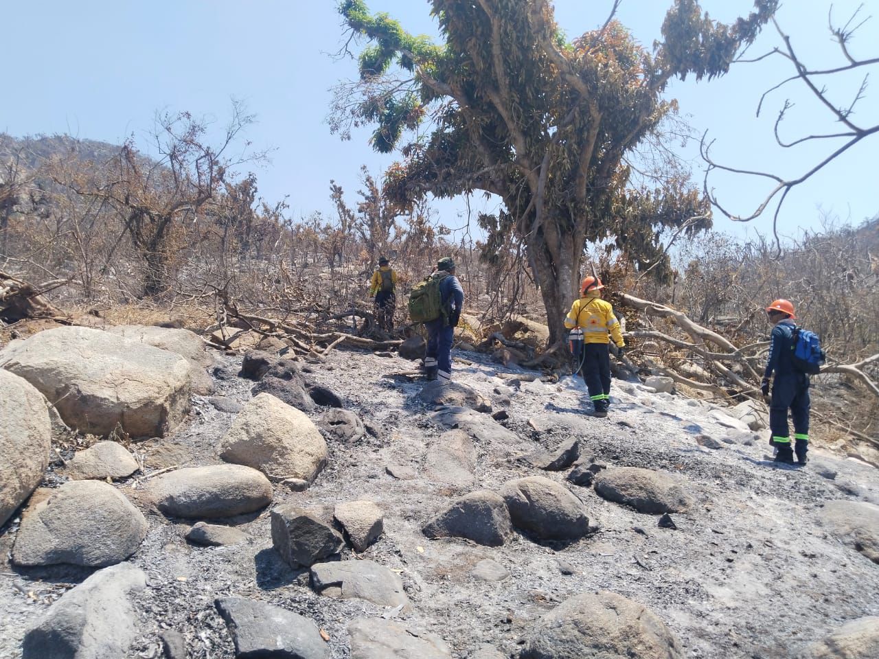 Incendio forestal en El Veladero está 100% controlado, informa PC estatal