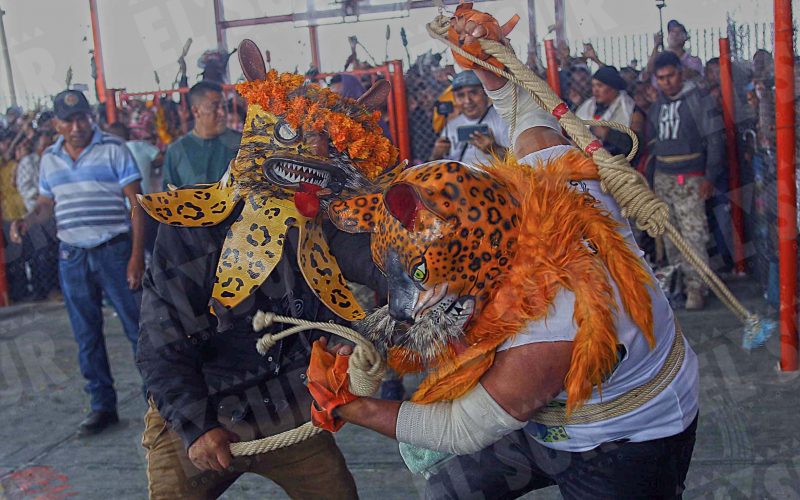 Hombres jaguar ofrecen su sudor y  sangre en las comunidades de Pochahuizco y Mazatepec, municipio de Zitlala, en el ritual de lluvias 2024. Fotos: José Luis de la Cruz