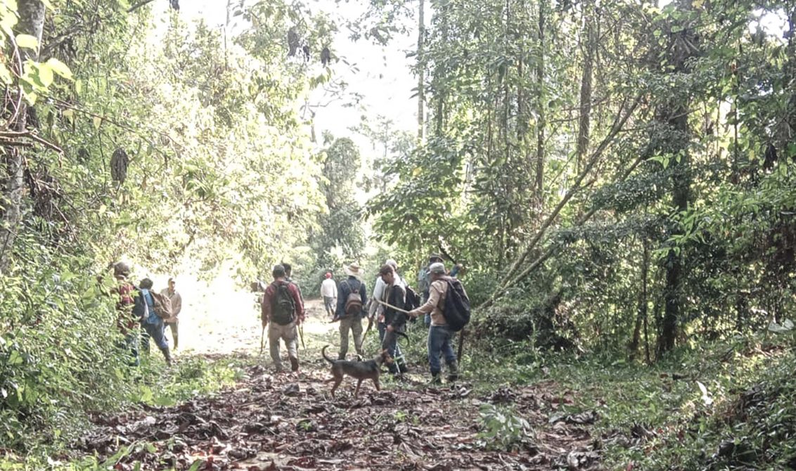 Integrantes del Ejido Pie de la Cuesta de Santo Domingo, en la sierra de Atoyaac, donde se lleva a cabo el proyecto forestal. Foto: Cortesía del Ejido