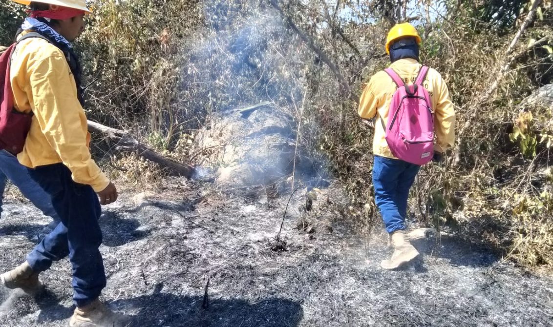 Trabajadores de Conanp durante los trabajos en la zona incendiada en el Parque Nacinal El Veladero. Foto: El Sur